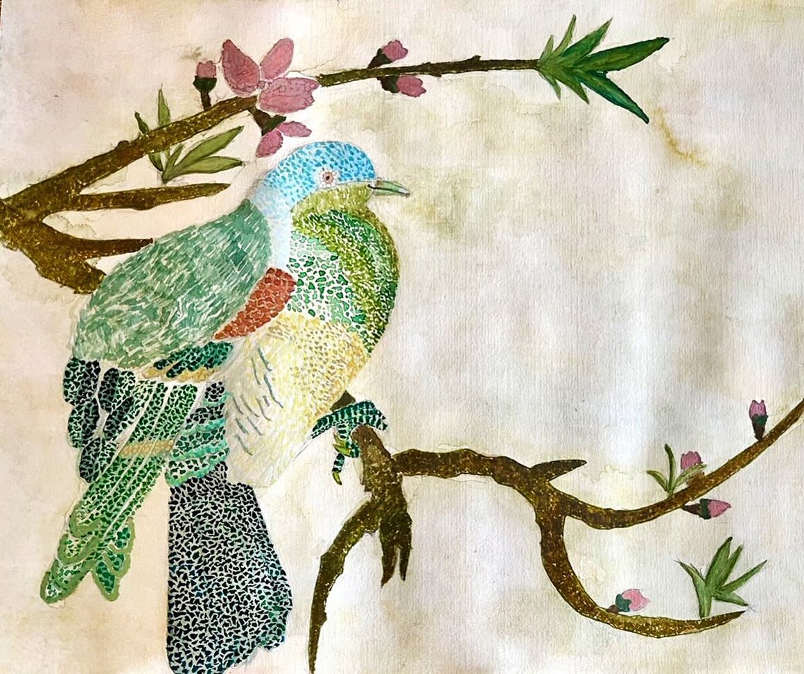 一般クラス 作品写真