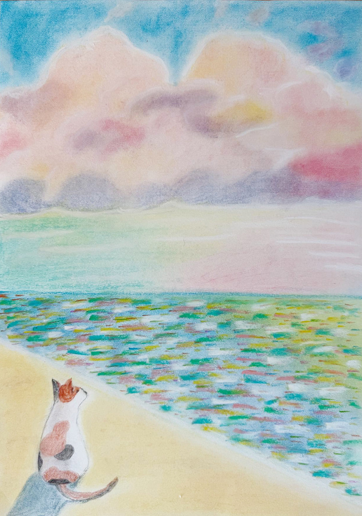 一般クラス 作品写真