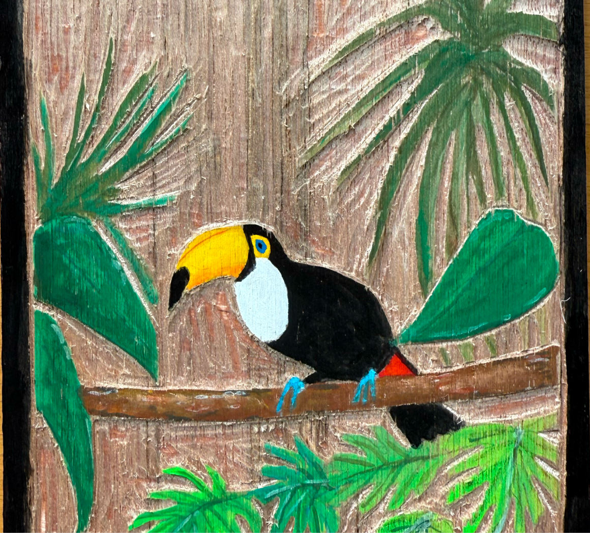 一般クラス 作品写真